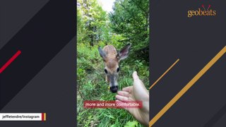 Guy's epic response when starving deer shows up at door