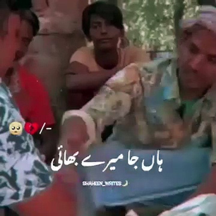 Intelligence test funny video