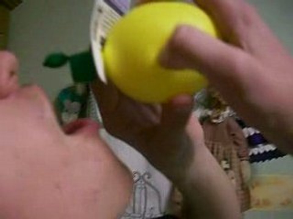 Bichon & Le citron