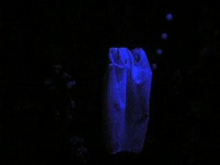 Village des automates