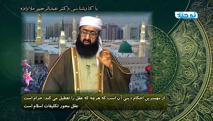 عقل بزرگترین نعمت برای انسان است؛ عقل محور تکلیفات اسلام است