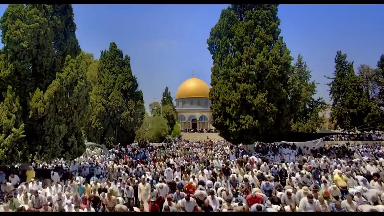 فيلم وثائقي بعنوان - فلسطين - بجودة عالية