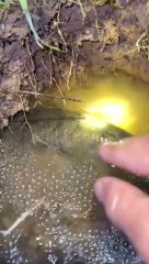 Facebook 953002416388449(360p)