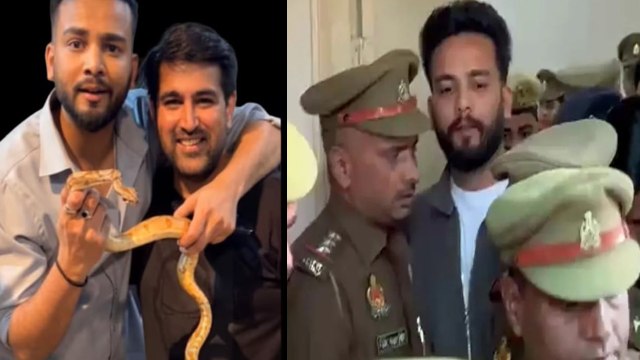 Elvish Yadav Snake Venom Case: पूछताछ में बड़ा खुलासा, Arrest के बाद कबूली ये बात! Elvish Yadav News
