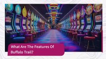 Buffalo Trail Slot