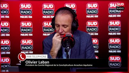 Huîtres contaminées : 3 mois après, quel bilan ?