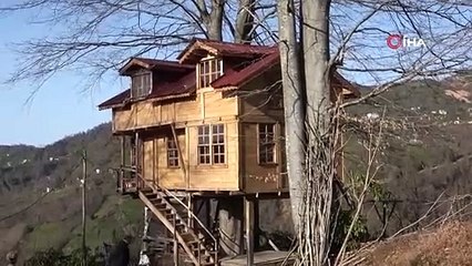 150 yıllık ağacın gövdesine 2+1 ev yaptı