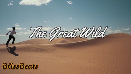 Out of Flux -  The Great Wild  (NEW MUSIC 2024)