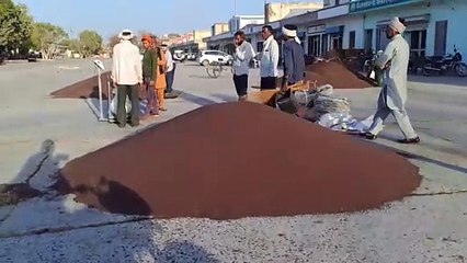 चना व सरसों खरीद के लिए ऑनलाइन पंजीयन 22 से