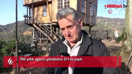 150 yıllık ağacın gövdesine 2+1 ev yaptı