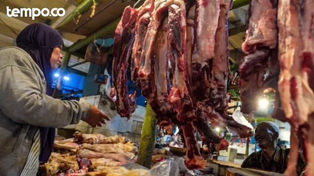 Harga Daging Sapi Lokal Tembus Rp 150 Ribu Per Kilo, Peternak: Momen yang Ditunggu Dua Kali Setahun