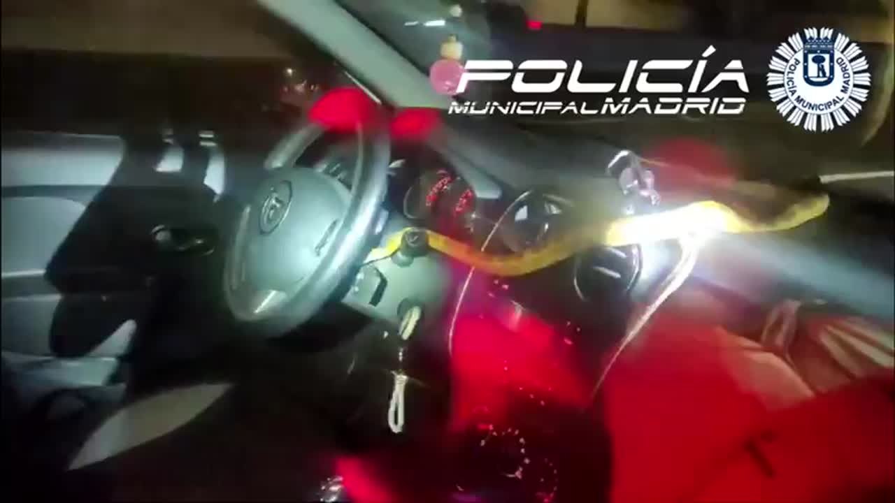 Una conductora encuentra una serpiente dentro del coche mientras circulaba por la A-4 en Madrid