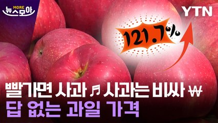 [뉴스모아] "오늘도 주스나 마셨습니다"…과일 가격 폭등 언제까지? / YTN
