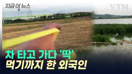외국인의 새총 사냥...SNS에 자랑 [지금이뉴스] / YTN