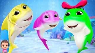 Baby Shark Doo Doo Doo Dance + More Children Fun Songs & Kids Videos
