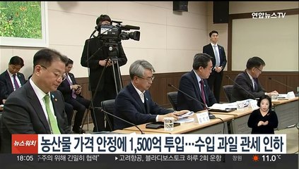 농산물 가격안정에 1,500억 투입…수입과일 관세 인하
