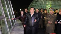 North Korea: Kim Jong-un bans keeping dogs as pets as it 'is incompatible with the socialist lifestyle'