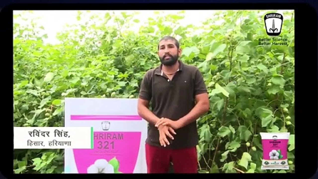 Shriram 321 BT Cotton - Super Farmers of Haryana