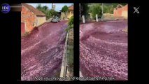 शराब की नदी |Wine River in Portuguese | Unique River of Red Wine | River of Red Wine