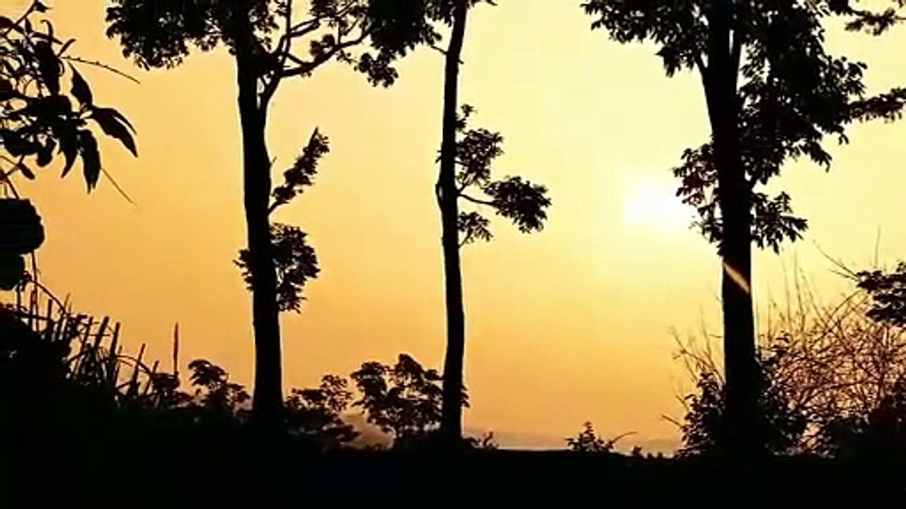Video cinematic aesthtic