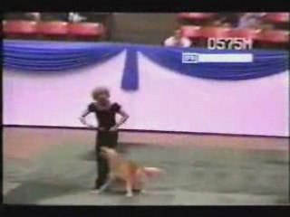 un chien qui a du chien lorsqu'il danse!