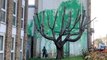 Banksy confirms return with new tree mural in north London