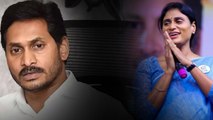 Ys Sharmila బిగ్ ఫైట్ కి సిద్ధం.. పోటీ స్థానం ఖరారు చేసిన Congress అధిష్టానం | Telugu Oneindia