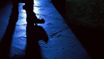 Le Corps et le Fouet Bande-annonce (EN)