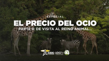 El precio del ocio - Parte II: De visita al reino animal…