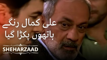 علی کمال رنگے ہاتھوں پکڑا گیا | Sheharzaad - قسط نمبر 5
