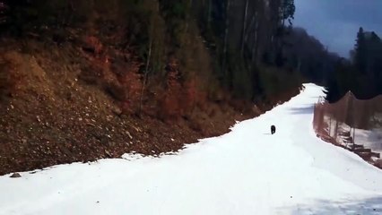 Un moniteur de ski poursuivi par un ours