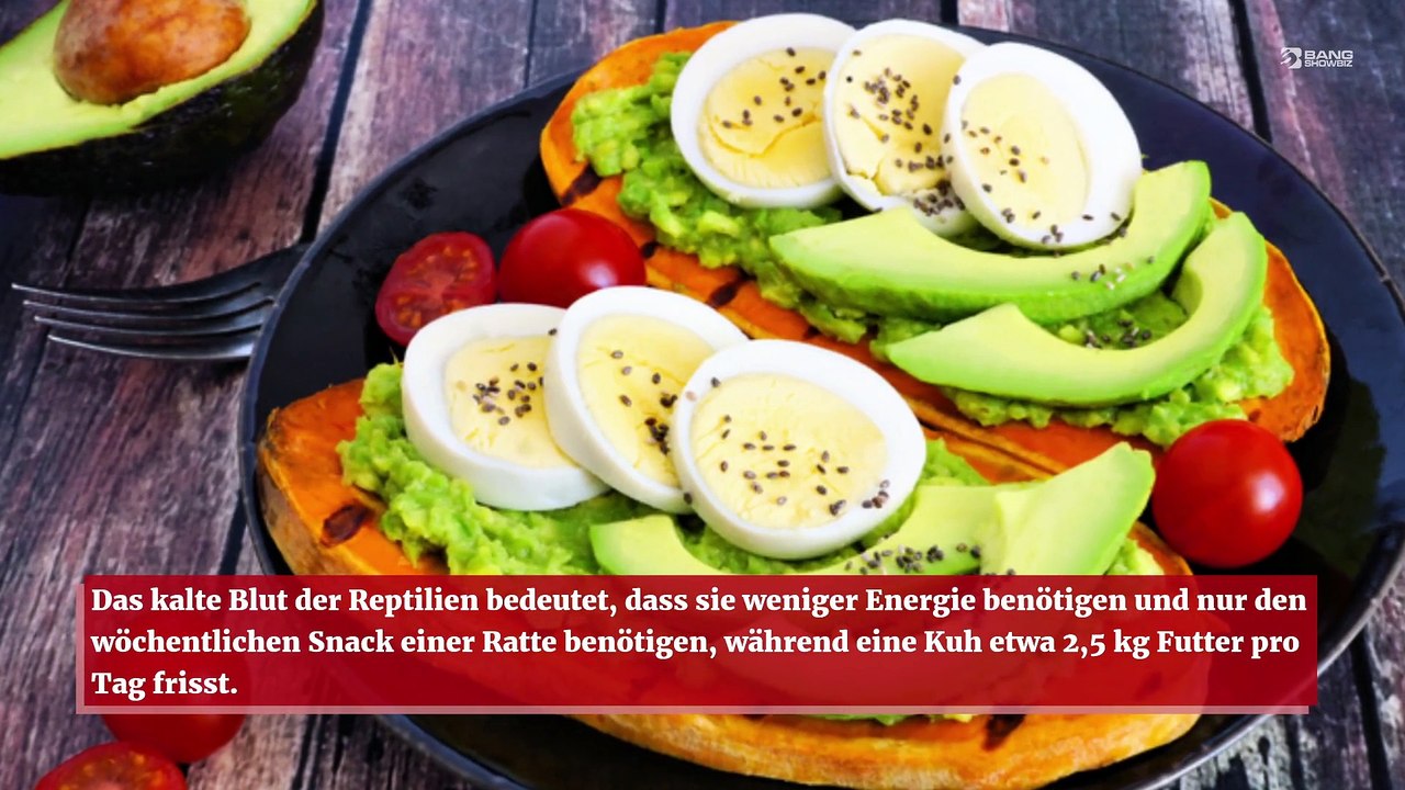 Schlangen könnten die Nahrung der Zukunft sein