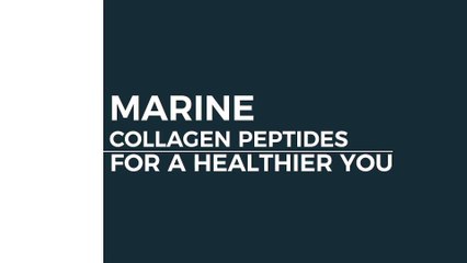 COLLASTEAD ｜ MARINE COLLAGEN PEPTIDES