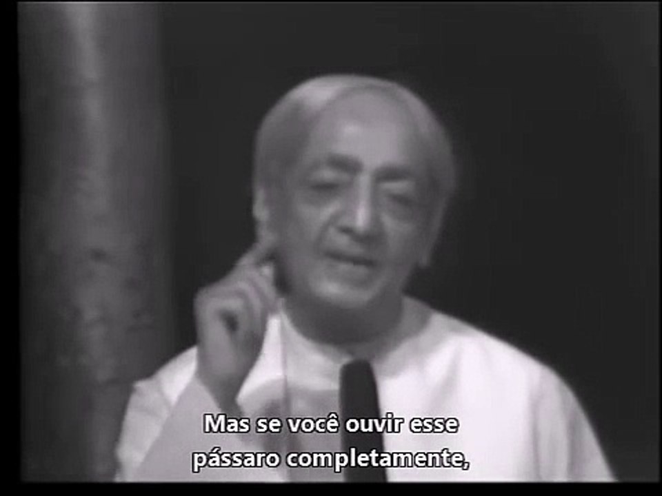 Sobre o pássaro persistente
