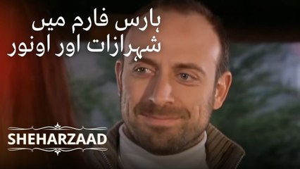 ہارس فارم میں شہرازات اور اونور | Sheharzaad - قسط نمبر 11
