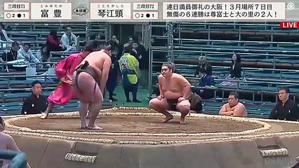 Haru 2024, Sandanme - Day 7