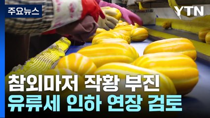 참외마저 작황 부진..."물가 특단 조치·유류세 인하 연장" / YTN