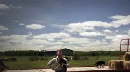 Letterkenny Season 1 Episode 2 Daryl's Super Soft Birthday