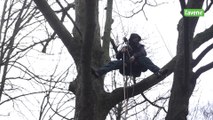 À Bruxelles, 2 grimpeurs français s’installent dans un arbre pour dénoncer le projet d’autoroute A69 dans le sud de la France