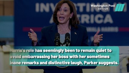 The Controversy Surrounding Vice President Harris