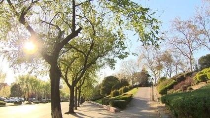 Los alérgicos al polen se enfrentan a una primavera intensa, sobre todo en Madrid y Toledo