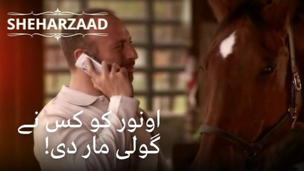 اونور کو کس نے گولی مار دی! | Sheharzaad - قسط نمبر 25
