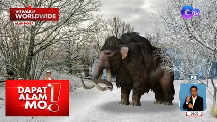 Matagal nang extinct na wooly mammoth, balak ibalik ng isang kumpanya| Dapat Alam Mo!