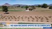 Trabajadores de la Productora Agrícola de Cítricos Potosinos denuncian irregularidades y presiones
