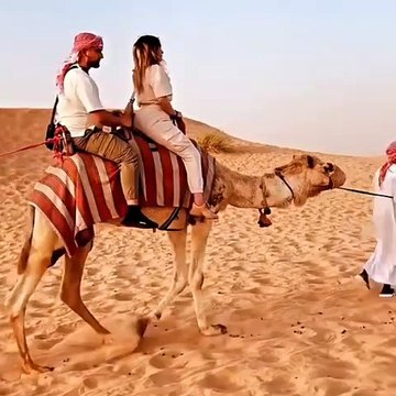 camel ride in desert safari dubai