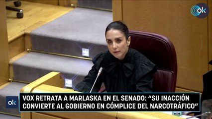 Vox retrata a Marlaska en el Senado: "Su inacción convierte al Gobierno en cómplice del narcotráfico"