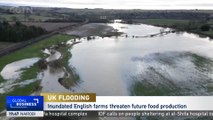 UK farmers struggle to salvage winter crops from rain-soaked fields