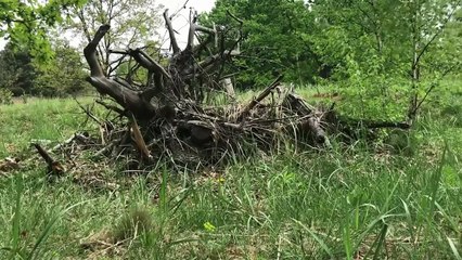 Improvisation And Constructions Part IV