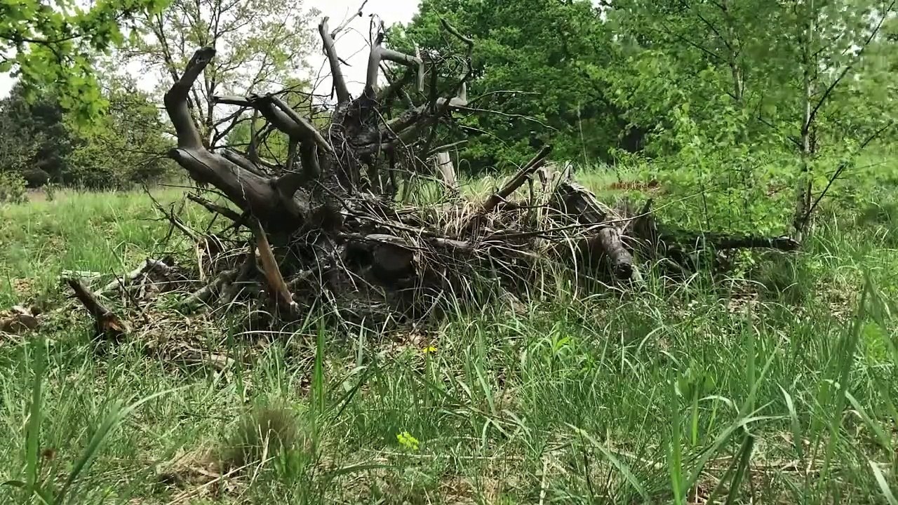 Improvisation And Constructions Part IV