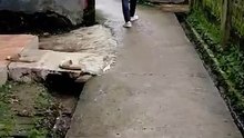 perjalanan